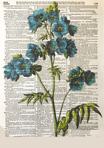 Page of Flowers