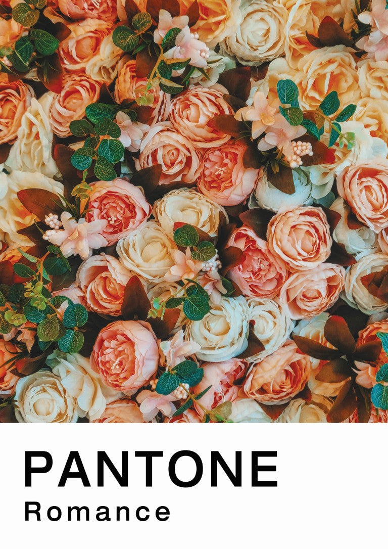 Romance Pantone