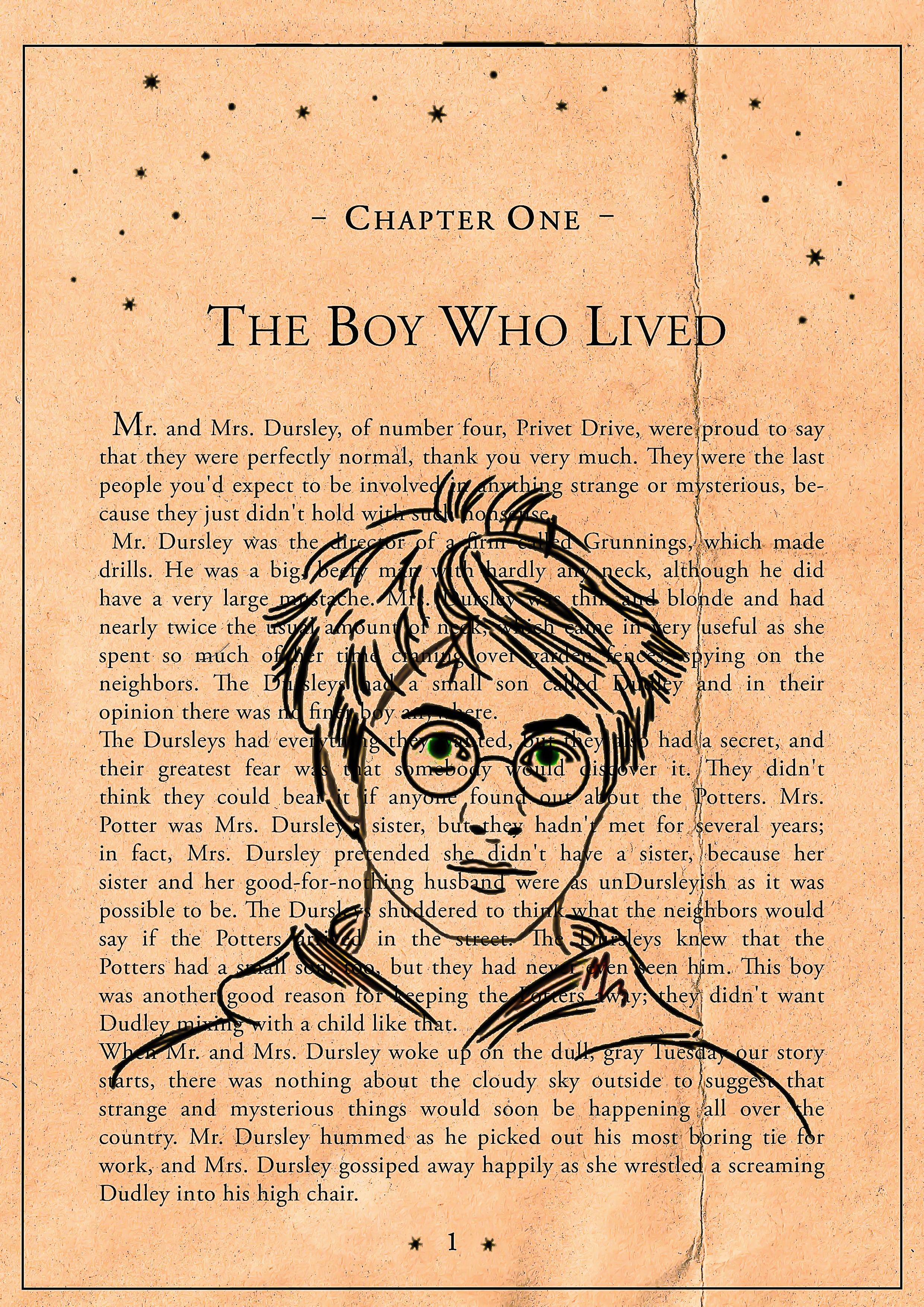 The Boy Who Lived - Harry Potter Poster