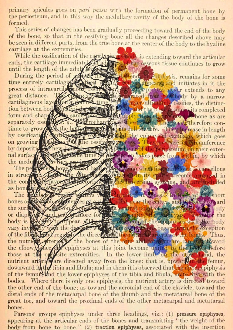 Ribcage Floral Anatomy