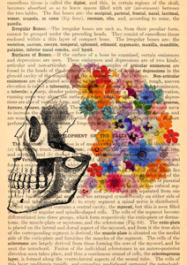 Skull Floral Anatomy