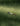 Waves on Grass
