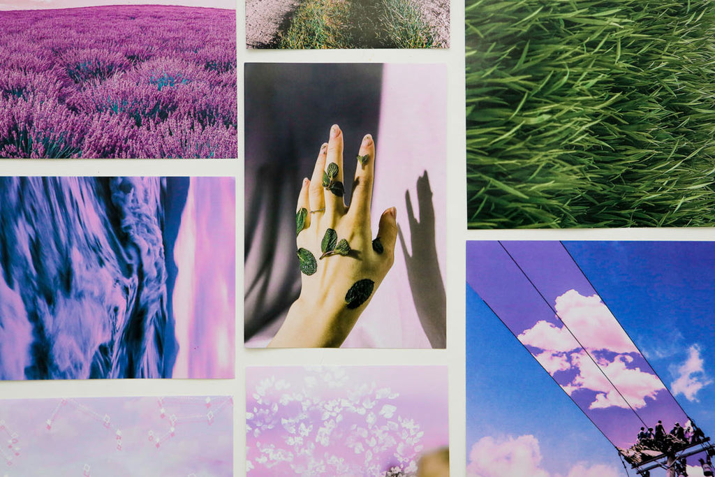aesthetic lavender set of posters on a wall