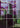 Block kit 9 A4 posters of a a city with purple skies